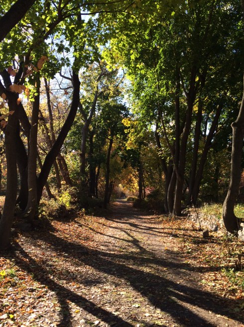 The path south of Van Cortlandt Park House Museum. (Photo by Jordan Moss)