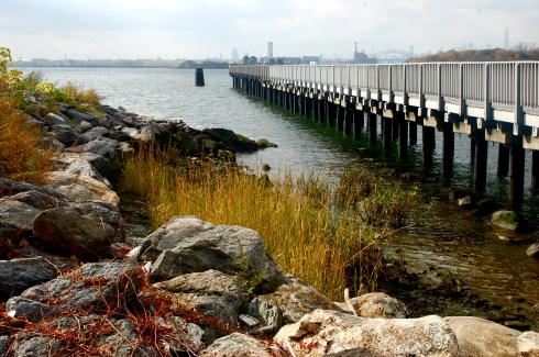Just one gorgeous bit of Barretto Point Park today. Photo by Jordan Moss